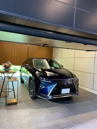 レクサス RXハイブリッド 450h“Fスポーツ”(CVT_3.5)