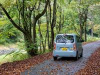 ホンダ N-WGN L(CVT_0.66)