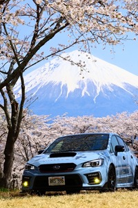 スバル WRX STI WRX STI S208 NBR チャレンジパッケージ カーボンリヤウイング_AWD(MT_2.0)
