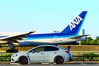 スバル WRX STI WRX STI S208 NBR チャレンジパッケージ カーボンリヤウイング_AWD(MT_2.0)