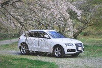アウディ Q5 2.0 TFSI クワトロ Sライン_RHD_4WD(AT_2.0)