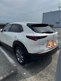 マツダ CX-30 XD プロアクティブ_4WD(AT_1.8)