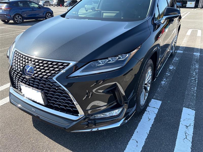 レクサス RXハイブリッド 450hL_E-Four(CVT_3.5)