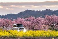 三菱 デリカミニ Tプレミアム(CVT_0.66)