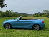 BMW 2シリーズ カブリオレ 220i カブリオレ ラグジュアリー_RHD(AT_2.0)