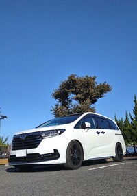 ホンダ オデッセイ アブソルート・EX_7人乗り(CVT_2.4)