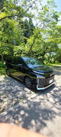 トヨタ ヴォクシー ハイブリッド S-Z_7人乗り(CVT_1.8_ハイブリッド)