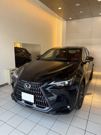 レクサス NX