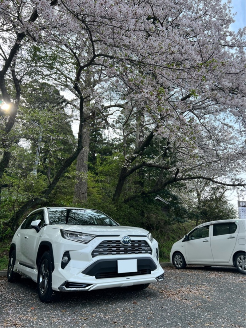 トヨタ RAV4 G_4WD(CVT_2.0)