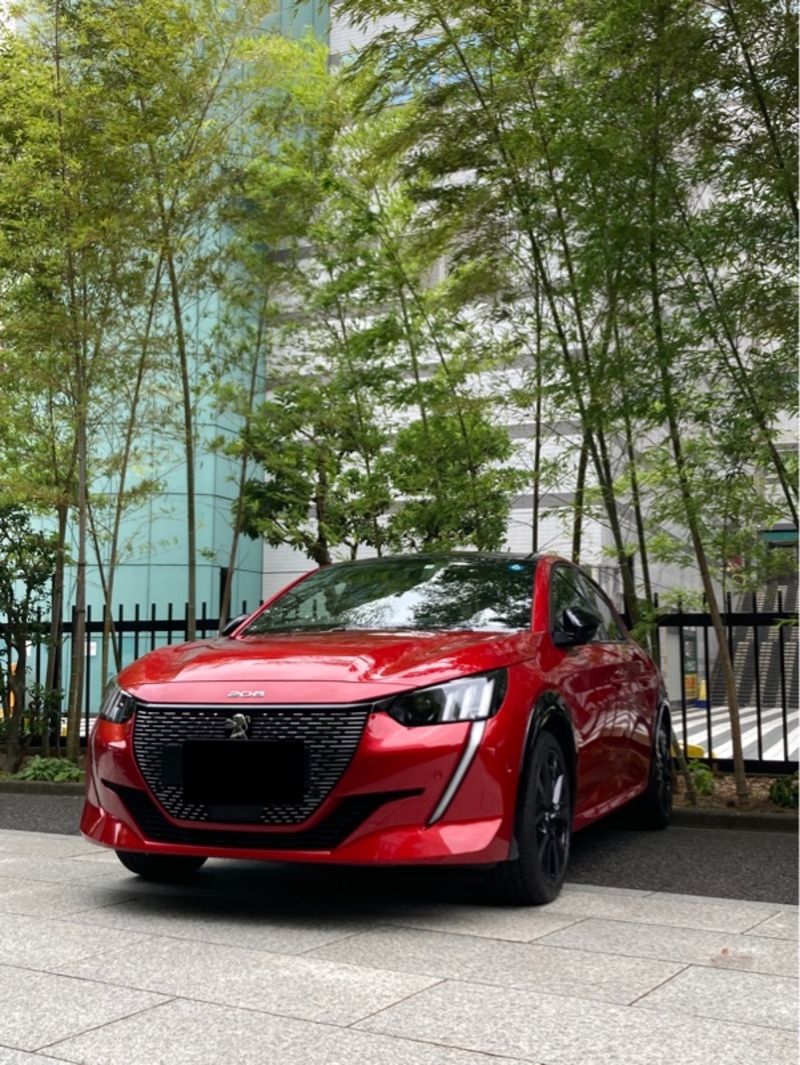 DSオートモビル DS4