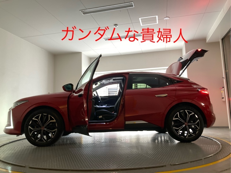 DSオートモビル DS4