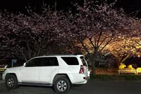 トヨタ ハイラックスサーフ