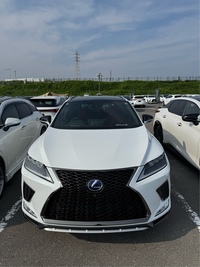 レクサス RXハイブリッド 450h“Fスポーツ”_E-Four(CVT_3.5)