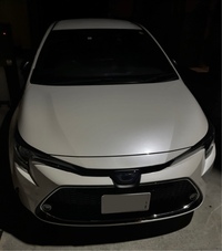 トヨタ カローラ W×B(CVT_1.5)