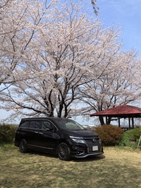 日産 エルグランド 250ハイウェイスターS アーバンクロム_8人乗り(CVT_2.5)