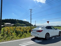 日産 スカイライン 200GT-t タイプSP(AT_2.0)