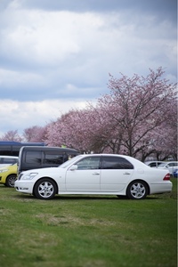 トヨタ セルシオ C仕様“インテリアセレクション”(AT_4.3)