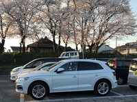 アウディ Q5