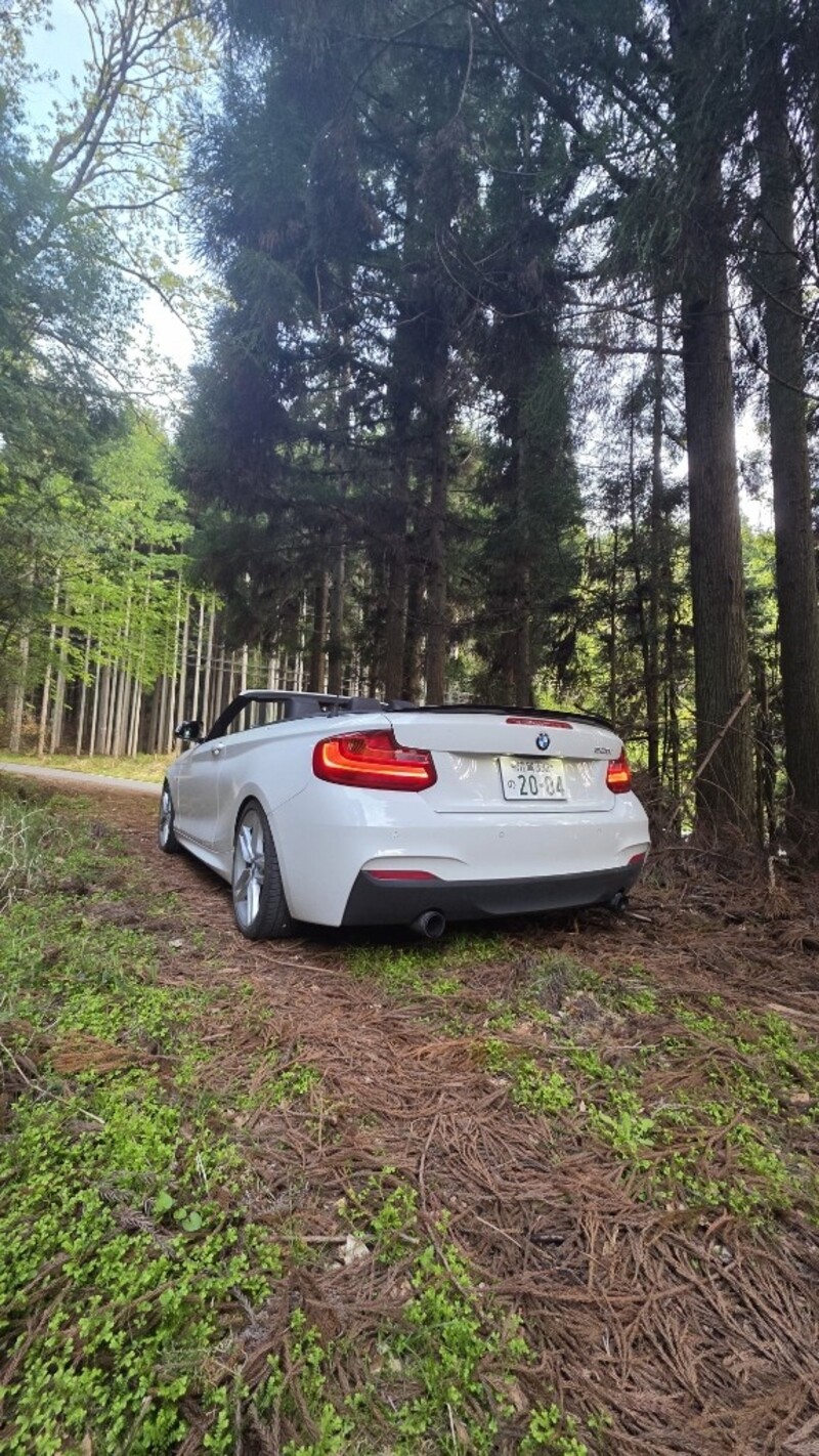 BMW 2シリーズ カブリオレ 220i カブリオレ Mスポーツ_RHD(AT_2.0)