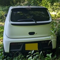 スズキ アルトワークス アルトワークス(MT_0.66)