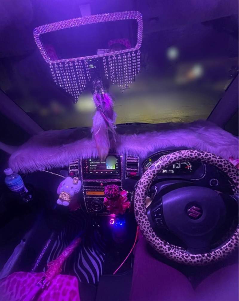 スズキ パレットSW