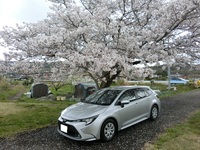 トヨタ カローラツーリング G-X“プラス”(CVT_1.8)
