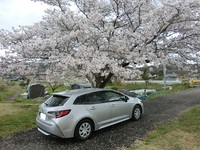 トヨタ カローラツーリング G-X“プラス”(CVT_1.8)