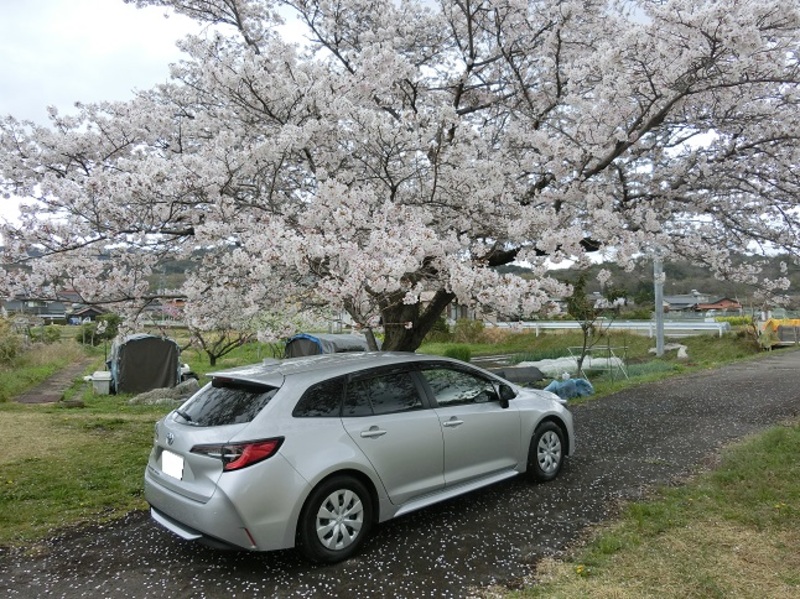 トヨタ カローラツーリング G-X“プラス”(CVT_1.8)