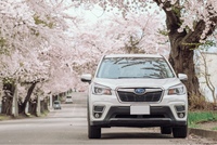 スバル フォレスター ツーリング_AWD（CVT_2.5）