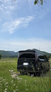 ホンダ ステップワゴンスパーダ スパーダ_8人乗り_4WD(CVT_1.5)