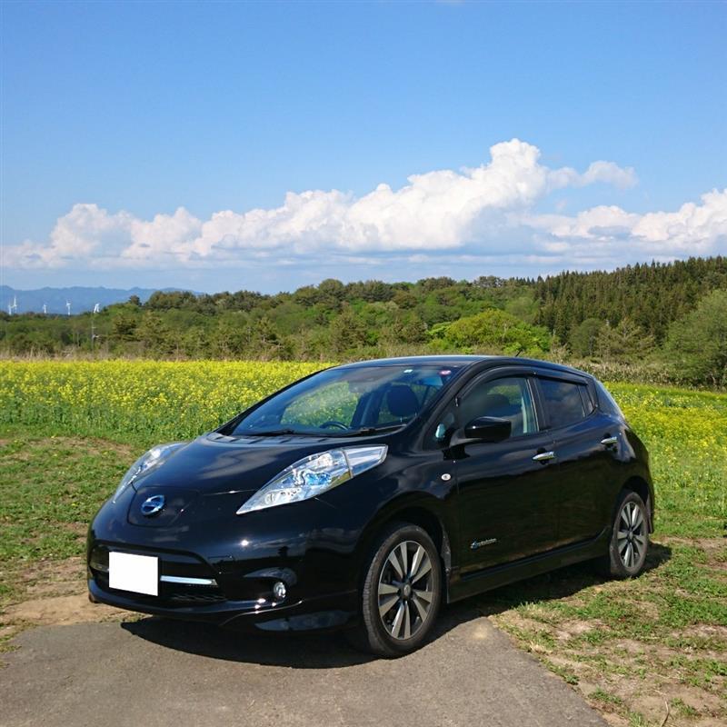 日産 リーフ 30G
