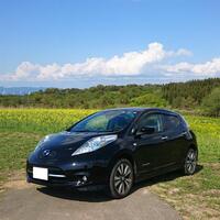 日産 リーフ 30G