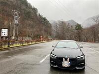 BMW 1シリーズ ハッチバック M140i エディションシャドウ_RHD(AT_3.0)