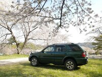 いすゞ ウィザード LS-LIMITED_4WD(AT_3.0ディーゼル)