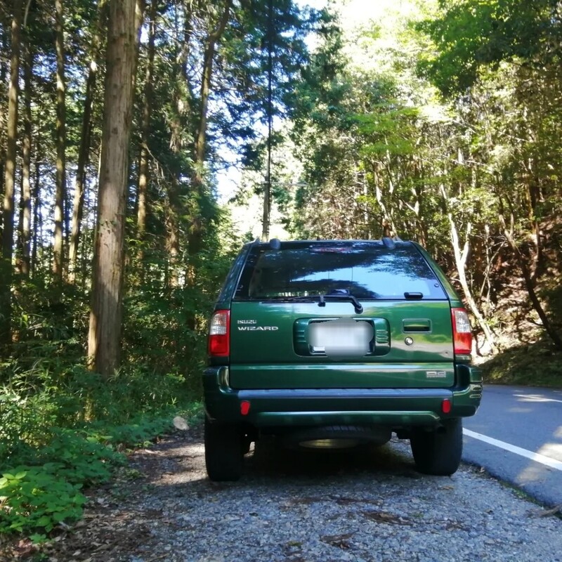 いすゞ ウィザード LS-LIMITED_4WD(AT_3.0ディーゼル)