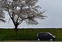 日産 デイズ ハイウェイスターX_4WD(CVT_0.66)