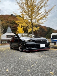 スバル WRX STI WRX STI タイプS_AWD(MT_2.0)