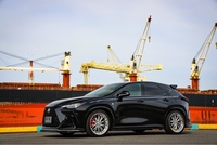 レクサス NXハイブリッド 350h“Fスポーツ”(CVT_2.5)