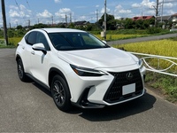 レクサス NX 250(AT_2.5)