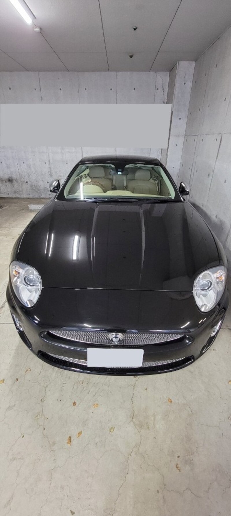 ジャガー XKシリーズ クーペ