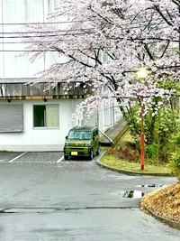 ダイハツ タフト Gターボ(CVT_0.66)