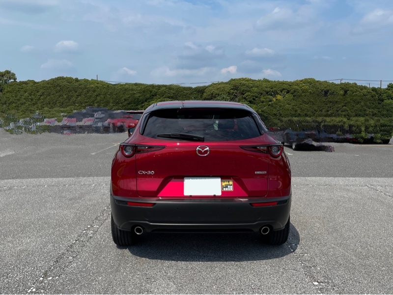 マツダ CX-30 20S プロアクティブ ツーリングセレクション(MT_2.0)