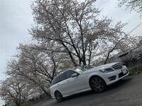 メルセデス・ベンツ Cクラス ステーションワゴン