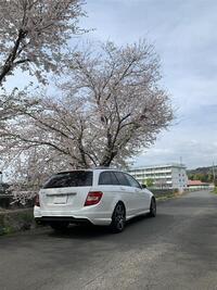 メルセデス・ベンツ Cクラス ステーションワゴン