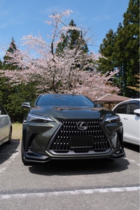 レクサス NX PHEV 450h+“バージョンL”_E-Four(CVT_2.5)