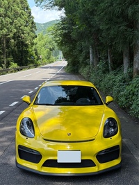 ポルシェ ケイマン ケイマン GT4_LHD(MT_3.8)