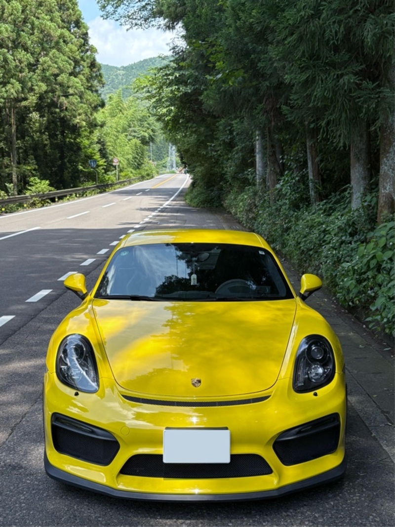 ポルシェ ケイマン ケイマン GT4_LHD(MT_3.8)
