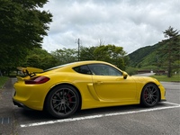 ポルシェ ケイマン ケイマン GT4_LHD(MT_3.8)