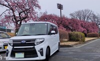スバル シフォンカスタム カスタム RS スマートアシスト(CVT_0.66)