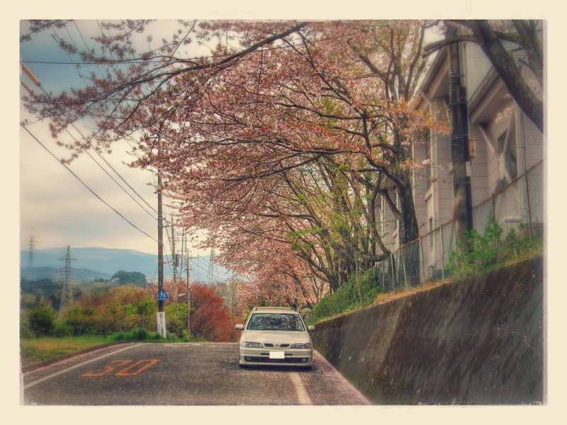 日産 プリメーラワゴン 2.0G_エアロスポーツ(CVT)